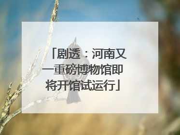 剧透：河南又一重磅博物馆即将开馆试运行
