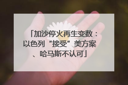 加沙停火再生变数：以色列“接受”美方案、哈马斯不认可