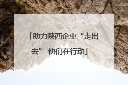 助力陕西企业“走出去” 他们在行动