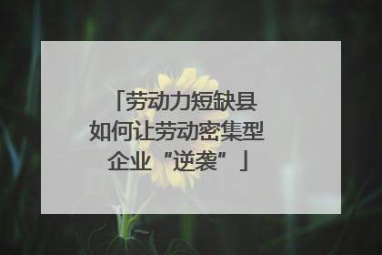 劳动力短缺县 如何让劳动密集型企业“逆袭”