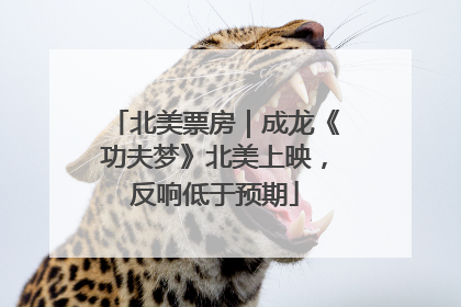北美票房｜成龙《功夫梦》北美上映，反响低于预期