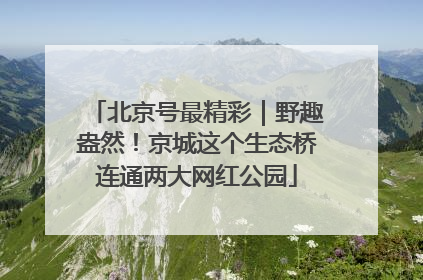 北京号最精彩｜野趣盎然！京城这个生态桥连通两大网红公园