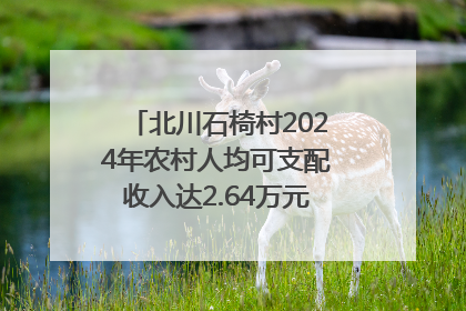 北川石椅村2024年农村人均可支配收入达2.64万元｜新闻发布最前线