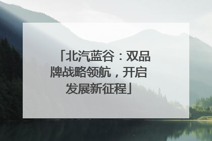 北汽蓝谷：双品牌战略领航，开启发展新征程