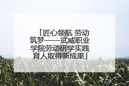 匠心领航 劳动筑梦——武威职业学院劳动研学实践育人取得新成果