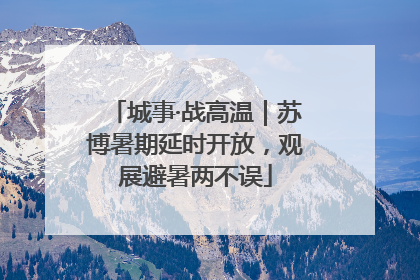 城事·战高温｜苏博暑期延时开放，观展避暑两不误