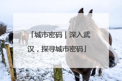城市密码｜深入武汉，探寻城市密码