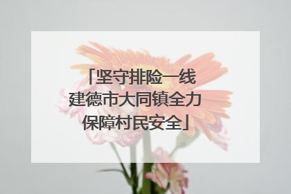 坚守排险一线 建德市大同镇全力保障村民安全