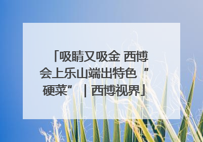 吸睛又吸金 西博会上乐山端出特色“硬菜”｜西博视界