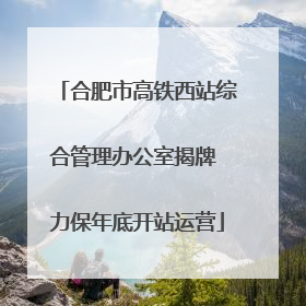 合肥市高铁西站综合管理办公室揭牌 力保年底开站运营