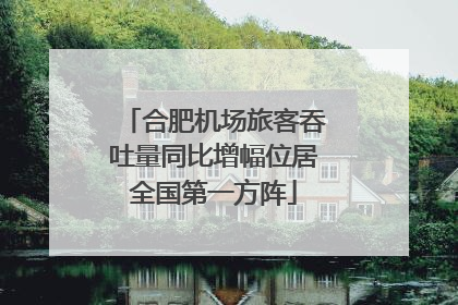 合肥机场旅客吞吐量同比增幅位居全国第一方阵