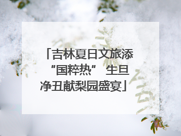 吉林夏日文旅添“国粹热” 生旦净丑献梨园盛宴