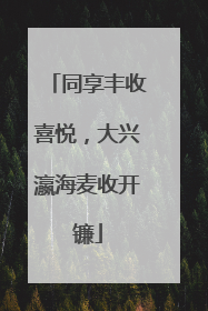 同享丰收喜悦，大兴瀛海麦收开镰