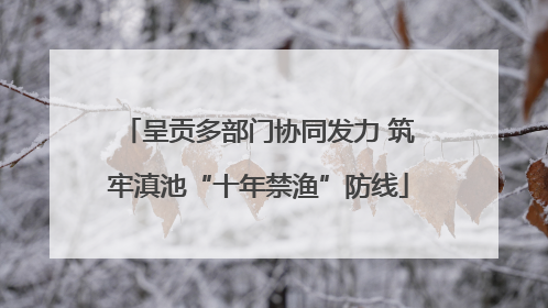 呈贡多部门协同发力 筑牢滇池“十年禁渔”防线