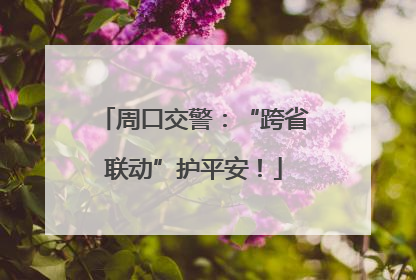 周口交警：“跨省联动”护平安！