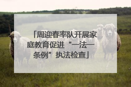 周迎春率队开展家庭教育促进“一法一条例”执法检查