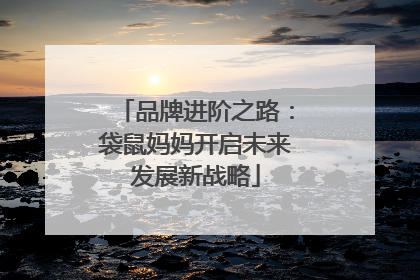 品牌进阶之路：袋鼠妈妈开启未来发展新战略
