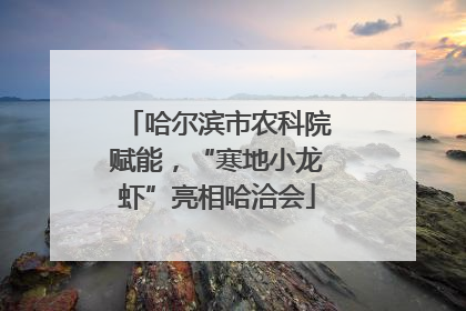 哈尔滨市农科院赋能，“寒地小龙虾”亮相哈洽会