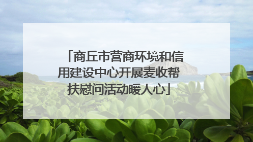 商丘市营商环境和信用建设中心开展麦收帮扶慰问活动暖人心