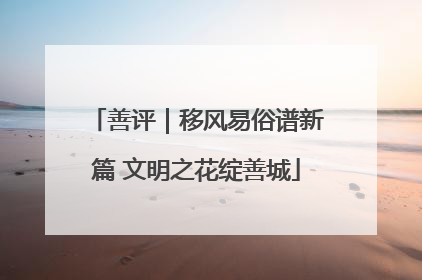 善评｜移风易俗谱新篇 文明之花绽善城
