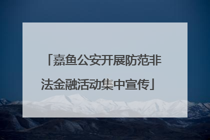 嘉鱼公安开展防范非法金融活动集中宣传