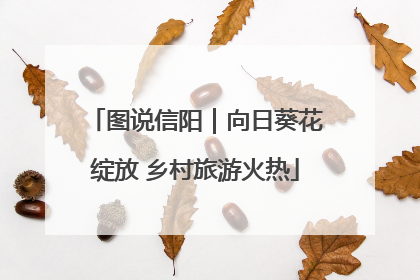 图说信阳｜向日葵花绽放 乡村旅游火热