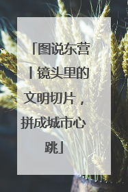 图说东营丨镜头里的文明切片，拼成城市心跳