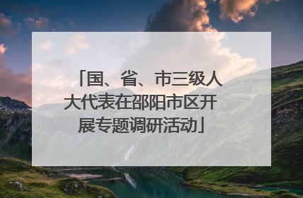 国、省、市三级人大代表在邵阳市区开展专题调研活动