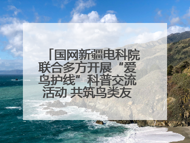 国网新疆电科院联合多方开展“爱鸟护线”科普交流活动 共筑鸟类友好城市