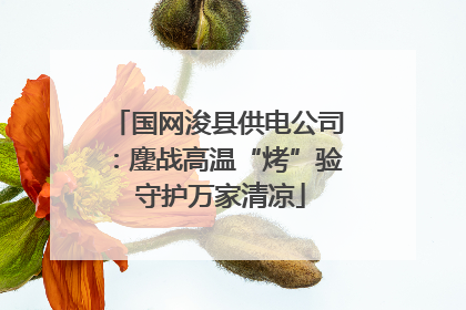 国网浚县供电公司：鏖战高温“烤”验 守护万家清凉