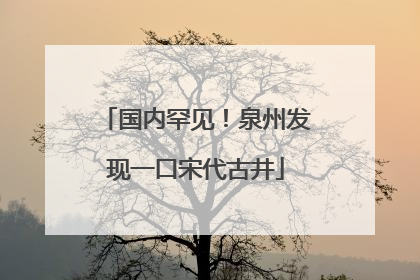 国内罕见！泉州发现一口宋代古井