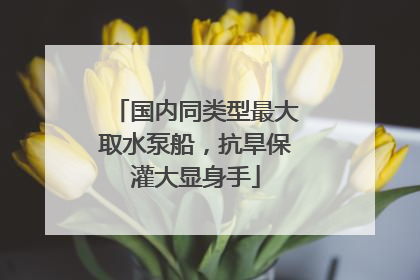 国内同类型最大取水泵船，抗旱保灌大显身手