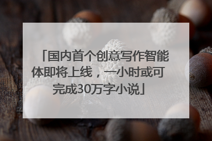 国内首个创意写作智能体即将上线，一小时或可完成30万字小说