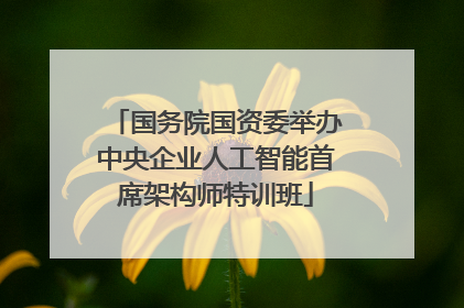 国务院国资委举办中央企业人工智能首席架构师特训班