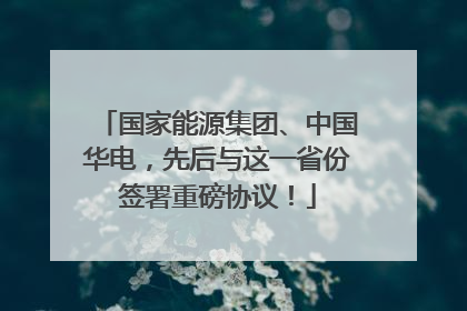 国家能源集团、中国华电，先后与这一省份签署重磅协议！