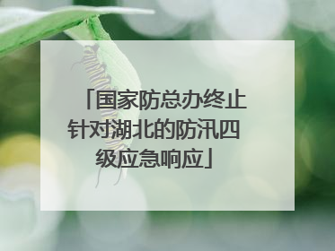国家防总办终止针对湖北的防汛四级应急响应