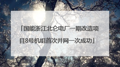 国能浙江北仑电厂一期改造项目8号机组首次并网一次成功