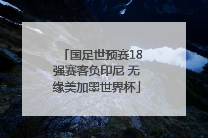 国足世预赛18强赛客负印尼 无缘美加墨世界杯