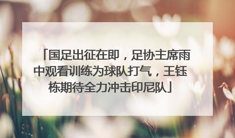 国足出征在即，足协主席雨中观看训练为球队打气，王钰栋期待全力冲击印尼队