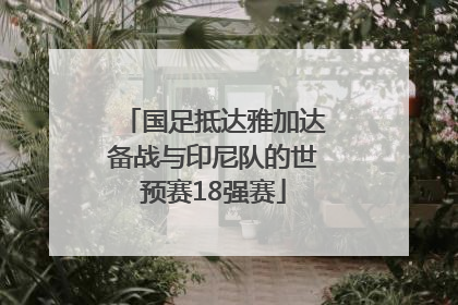 国足抵达雅加达备战与印尼队的世预赛18强赛