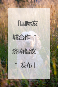 国际友城合作“济南倡议”发布