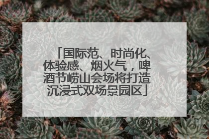 国际范、时尚化、体验感、烟火气，啤酒节崂山会场将打造沉浸式双场景园区