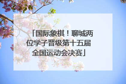 国际象棋！聊城两位学子晋级第十五届全国运动会决赛