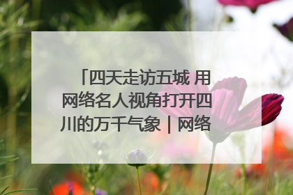 四天走访五城 用网络名人视角打开四川的万千气象｜网络名人四川行