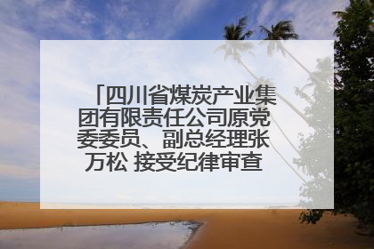 四川省煤炭产业集团有限责任公司原党委委员、副总经理张万松 接受纪律审查和监察调查