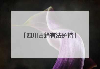 四川古籍有法护持