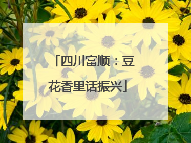 四川富顺：豆花香里话振兴