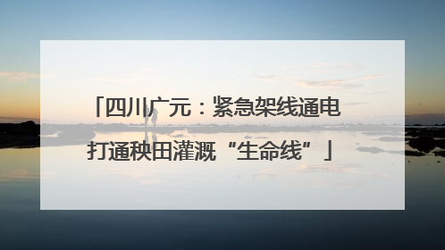 四川广元：紧急架线通电 打通秧田灌溉“生命线”