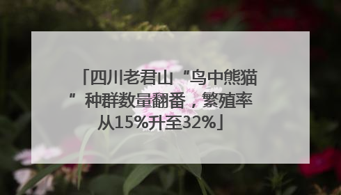 四川老君山“鸟中熊猫”种群数量翻番，繁殖率从15%升至32%