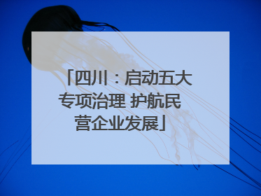 四川：启动五大专项治理 护航民营企业发展